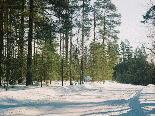 25250 (a): :1024x768